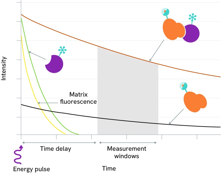 HTRF ASK measurement windows
