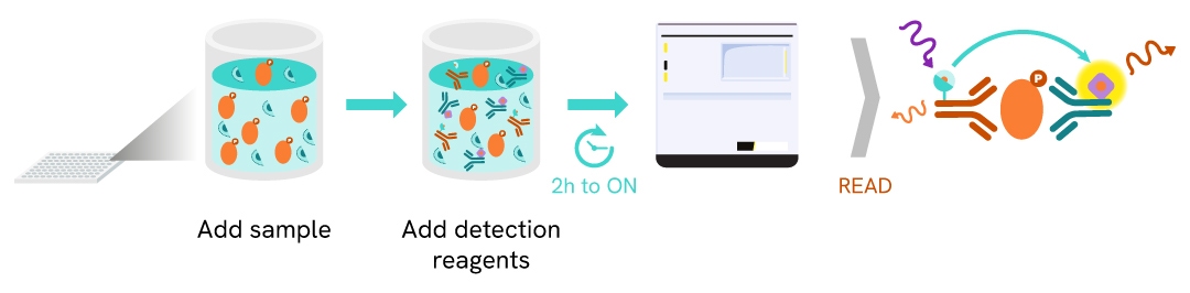 HTRF ASK protocol steps simplified