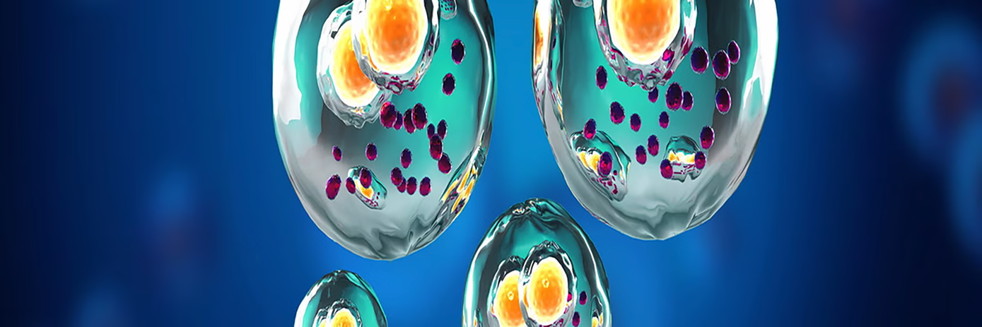 img-htrf-normalization-1920x640