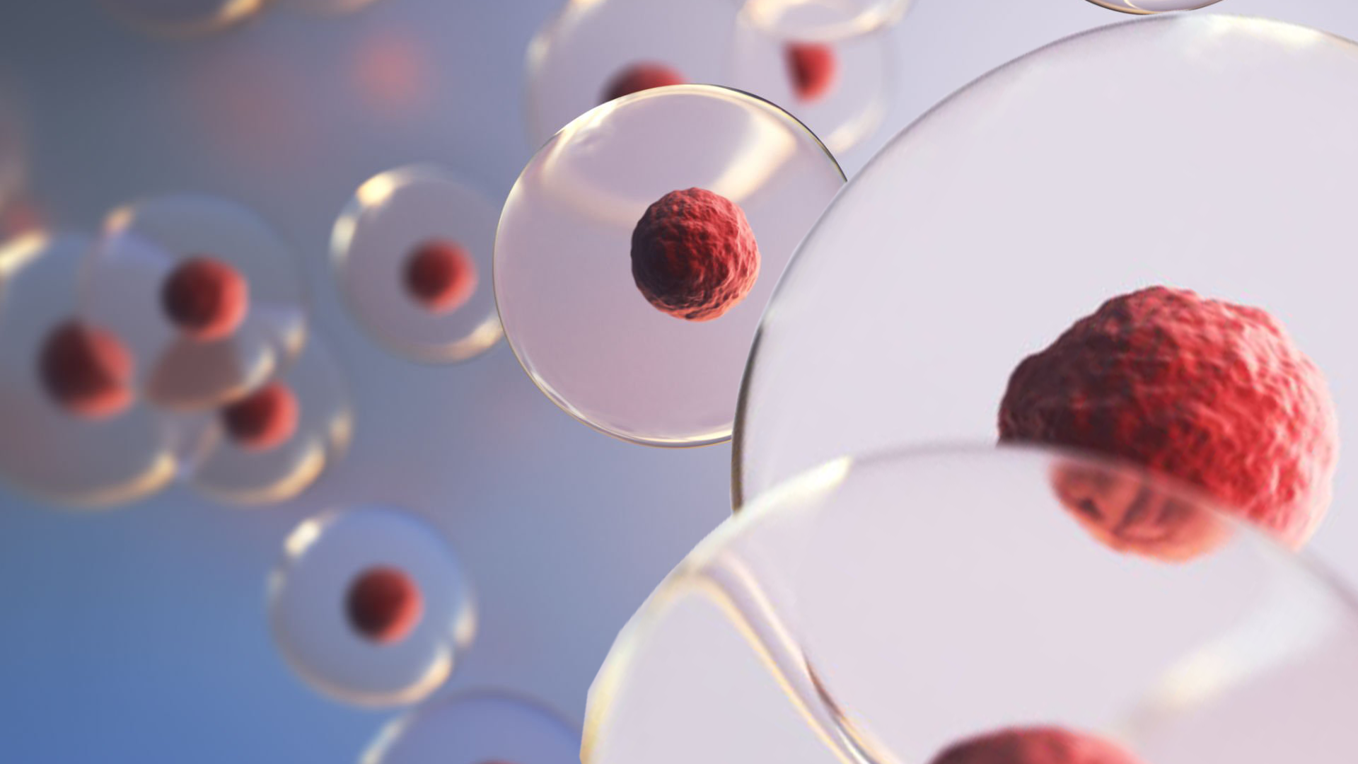 img-human-cell-embryonic-thumbnail-blog