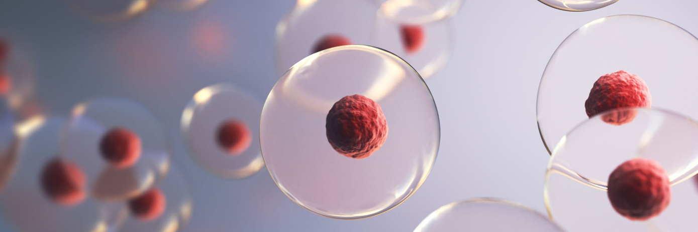 img-human-cell-embryonic1920x640
