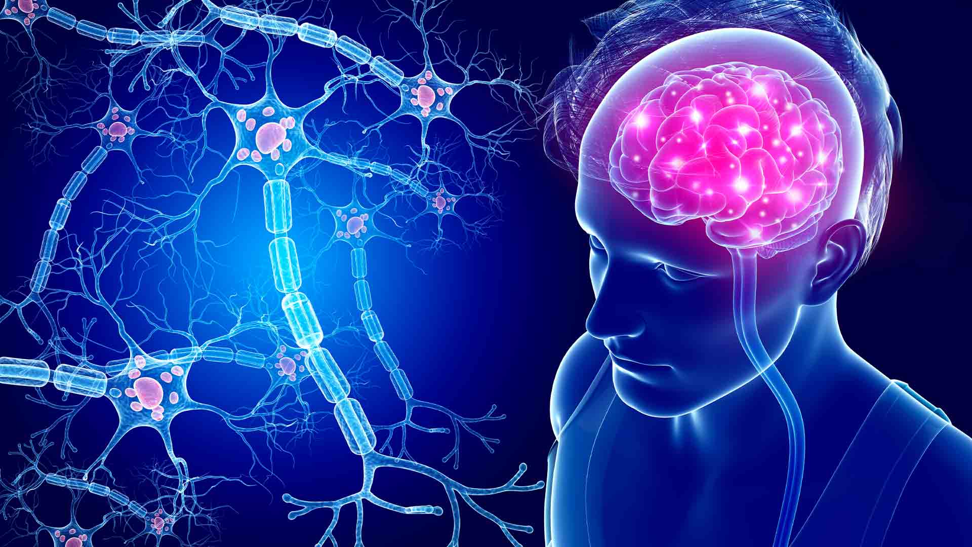 Landmark Huntington’s gene therapy success brings promise for neuroscience research. 