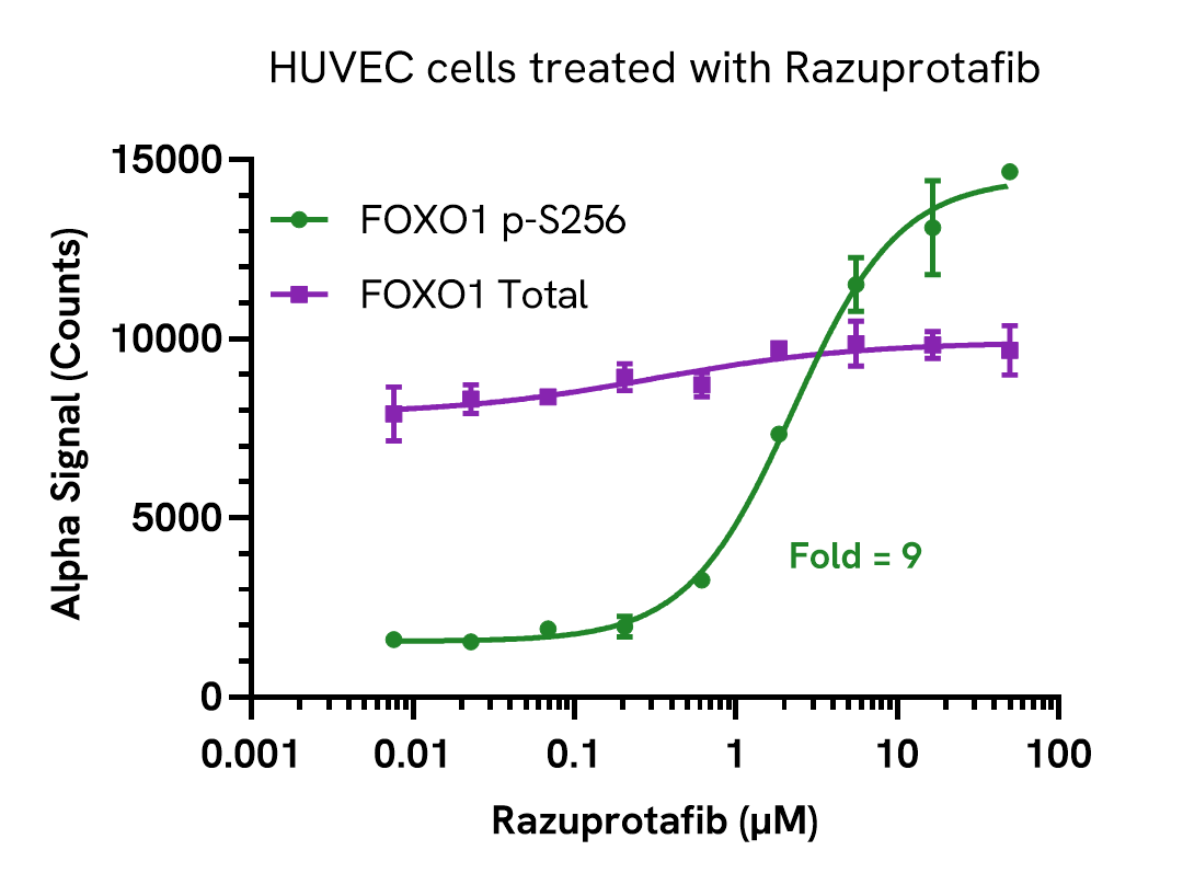 Pharmacological Validation of FOXO1 Total