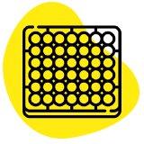 icon assay development