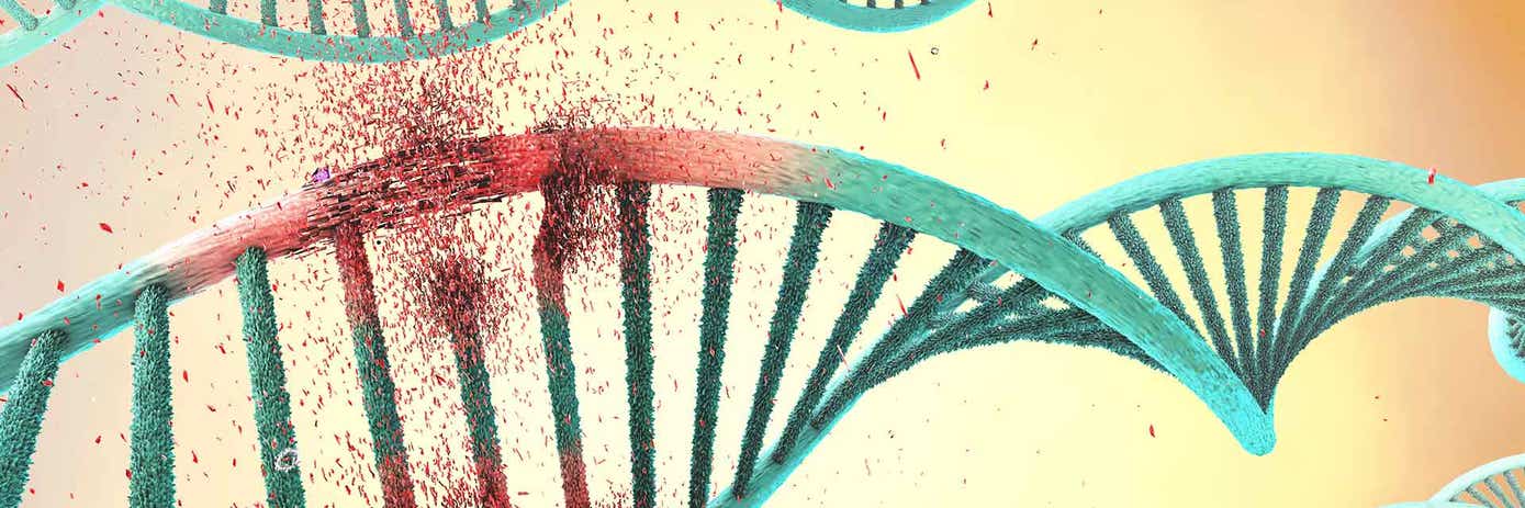 idt xgen cfdna and ffpe library prep kit