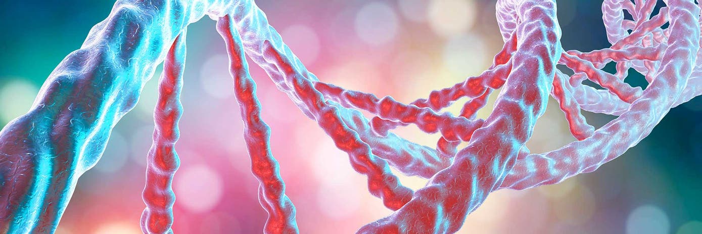 idt xgen dna ez library prep