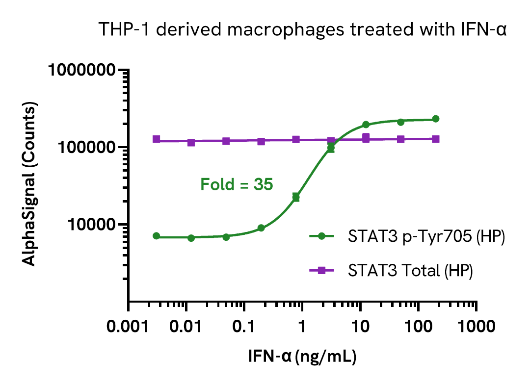 STAT3 Phospho (HP) assay validation - Activator