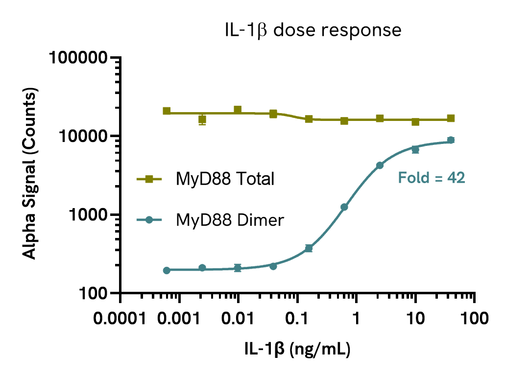 Pharmacological Validation (activator) MyD88 Dimer
