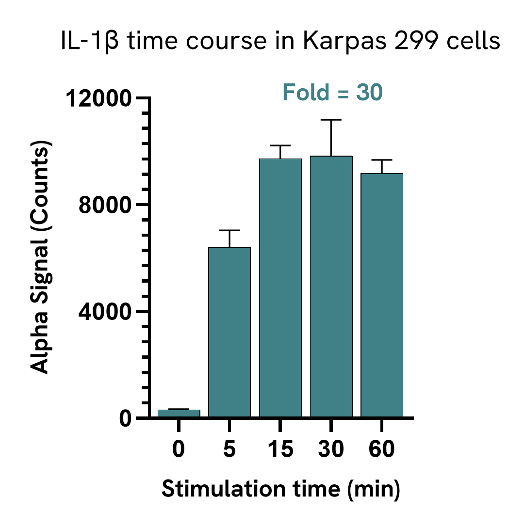 Pharmacological Validation (activator) MyD88 Dimer