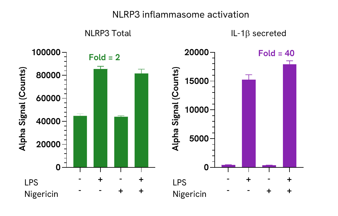 Assay Validation