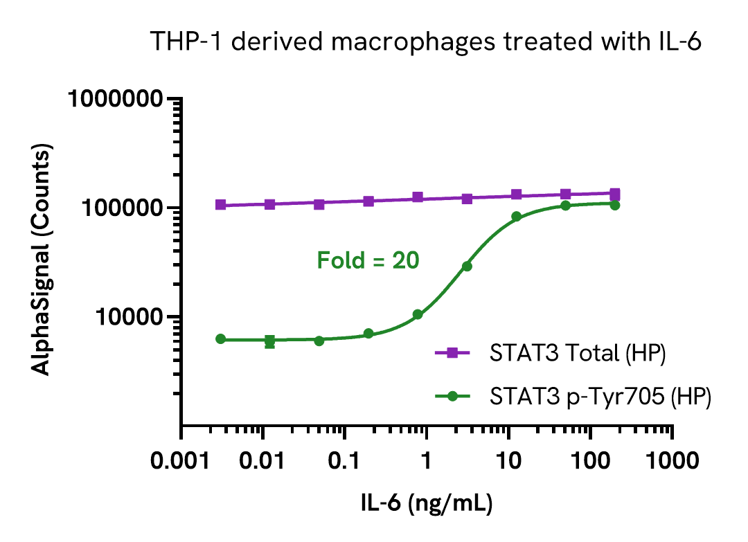 STAT3 Phospho (HP) assay validation - Activator