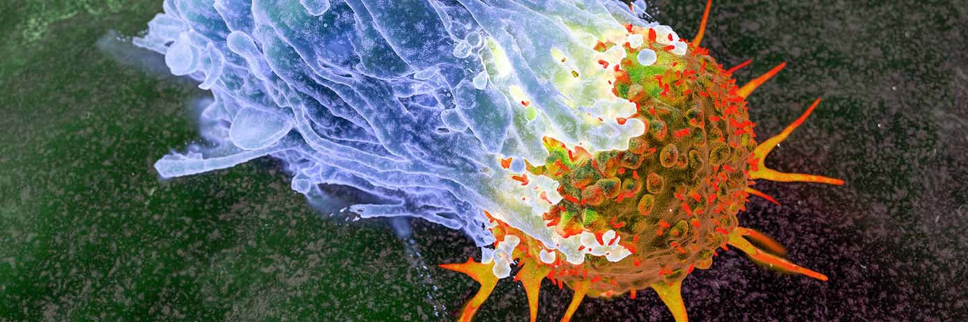 immune engineering hero