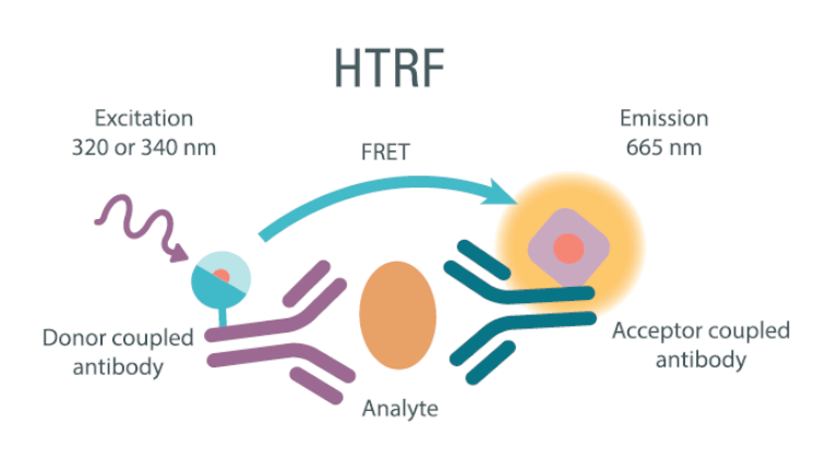 Immunoassay technologies HTRF