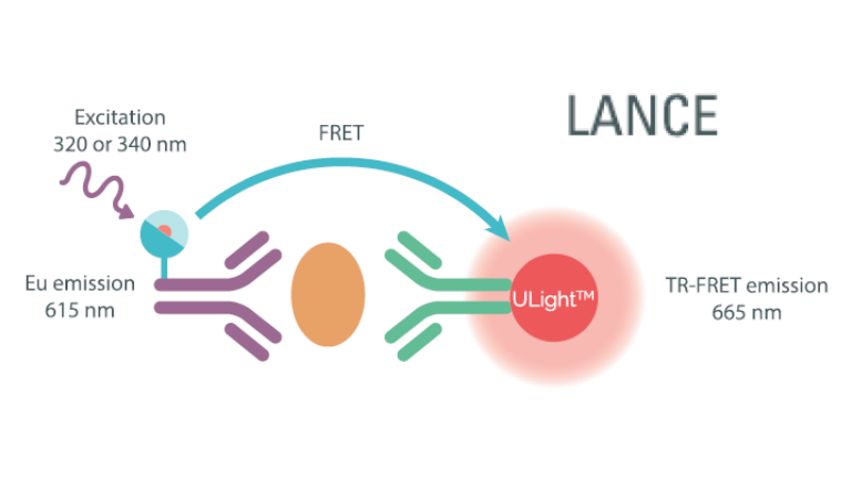 Immunoassay technologies LANCE
