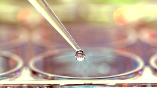 Immunoassays solutions