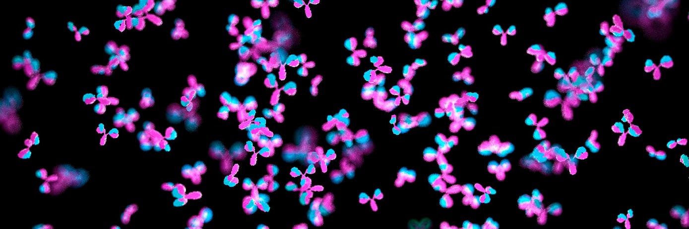immunoglobulin sera hero