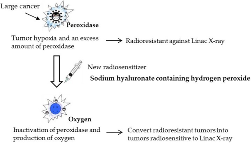 in content blog images
