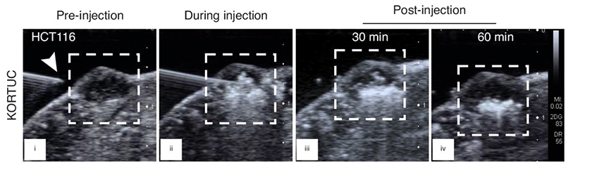 in-content blog image cytometry