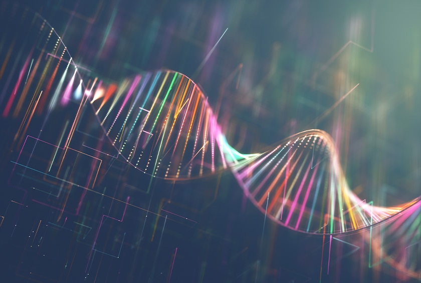 hmw dna blog in content