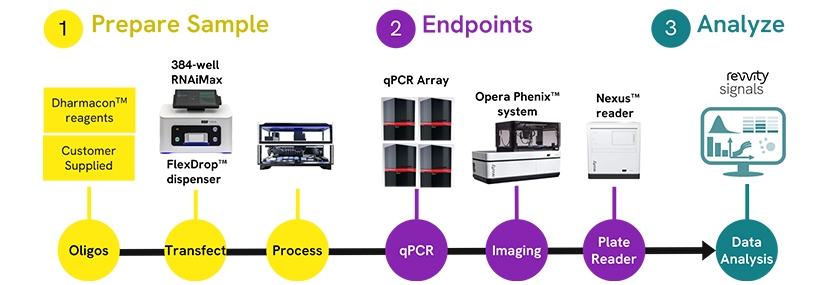 in content oligonucleotide blog image