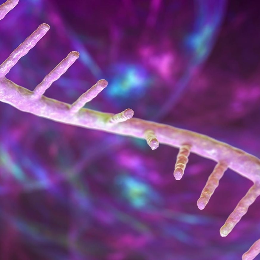 incRNA functional hero