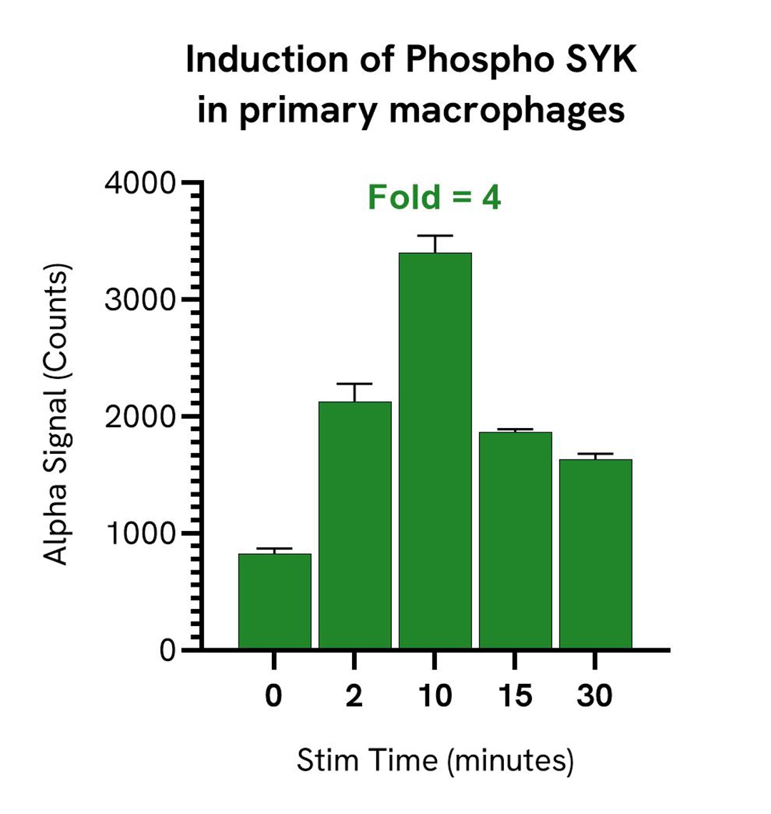 img-induction-of-phospho-syk-in-primary-macrophages-alsu-psyk-a.jpg