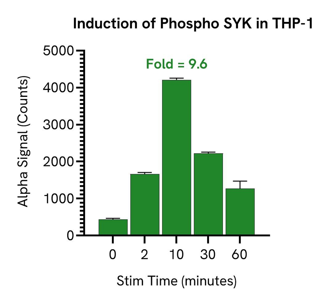 img-induction-of-phospho-syk-in-thp-1-alsu-psyk-a.jpg