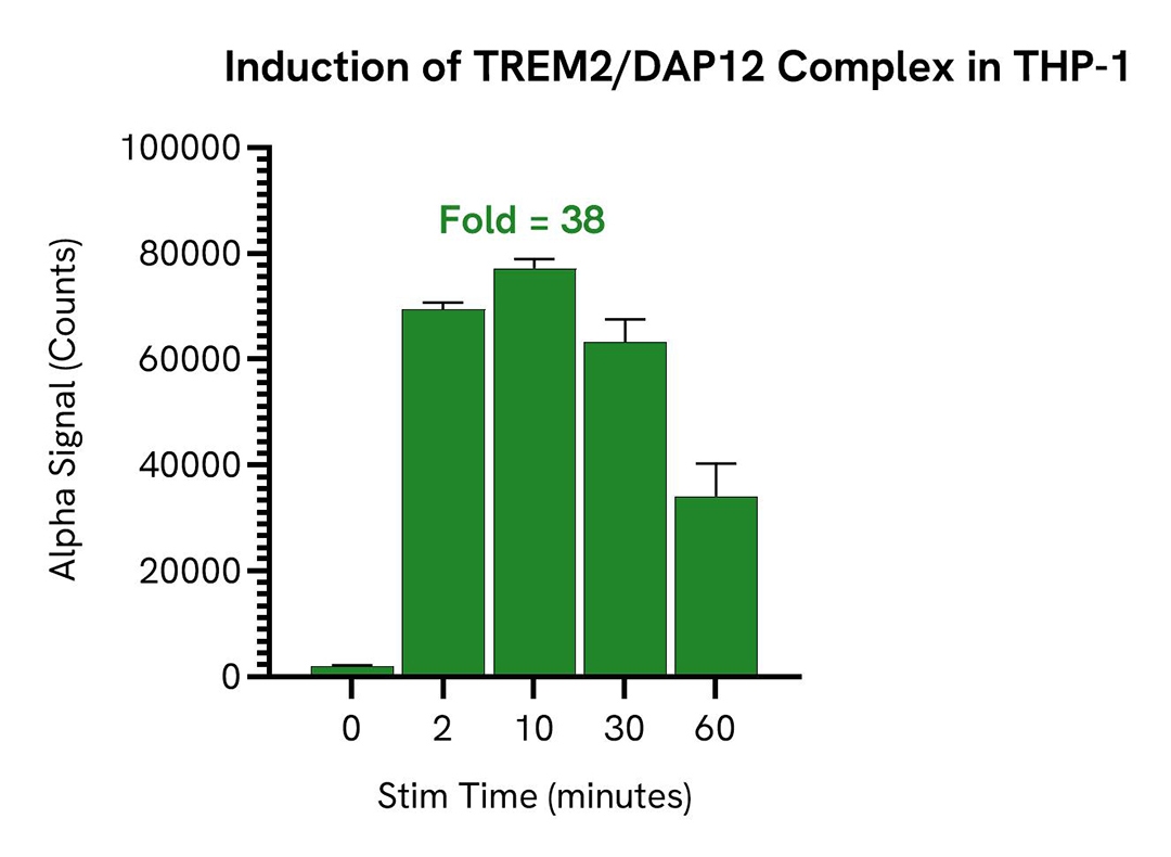 img-induction-of-trem2-dap12-complex-in-thp-1-alsu-ttrmdp-a.jpg