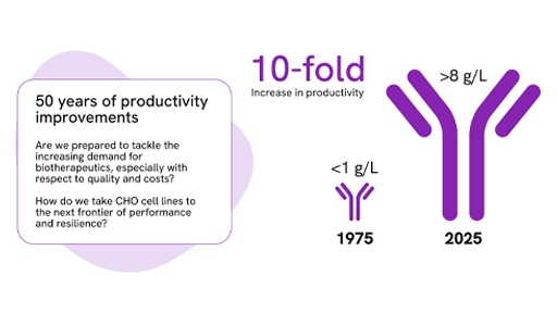 Bioproduction cell line engineering services