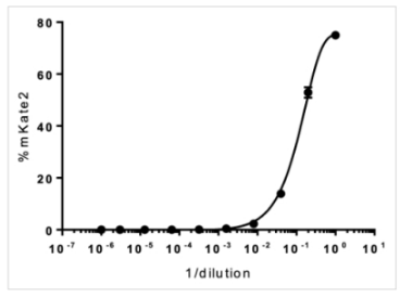 Influenza viral titration with mkate2 fluorescent protein reporter 2