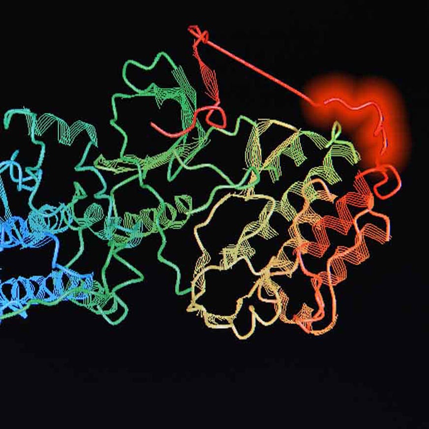 IVISense Fluorescent Dyes