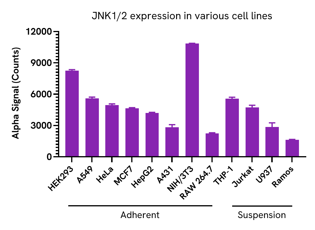 Expression of Total JNK1/2 in various cell lines