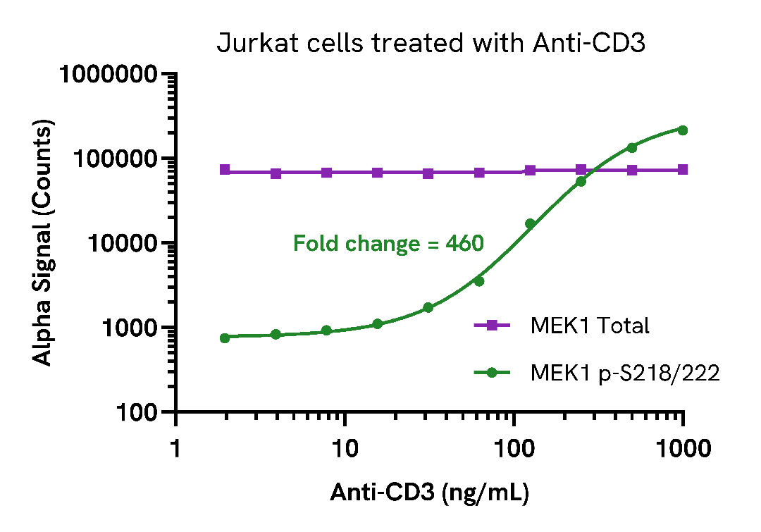 Activation of Phospho MEK1 (Ser218/222) in anti-CD3 treated cells
