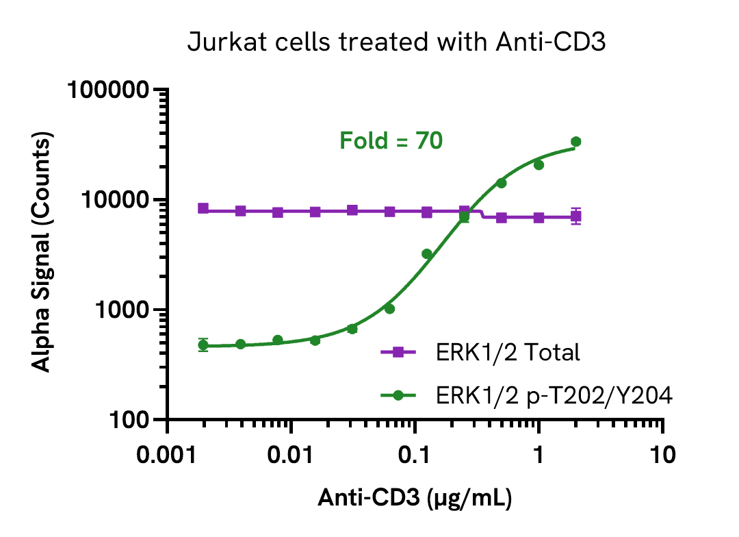 Activation of Phospho ERK1/2 (Thr202/Tyr204) in Anti-CD3 treated cells