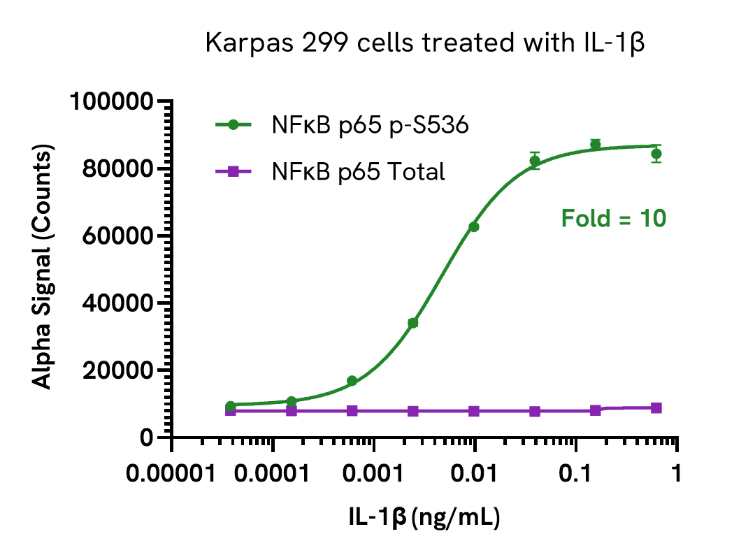 Validation of Total NFκB p65 in IL-1β treated cells