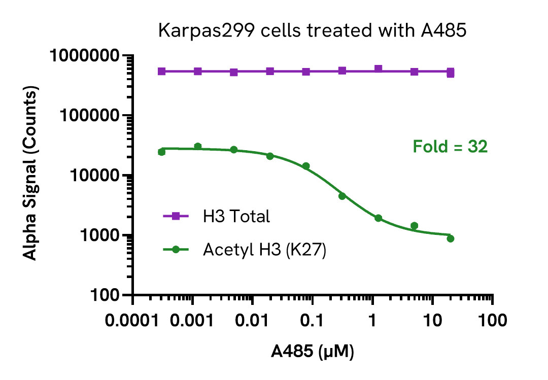 Pharmacological Validation (Inhibition) of Acetyl Histone H3 (K27) assay