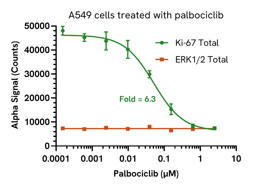 Pharmacological Validation (inhibitor) of Total Ki-67
