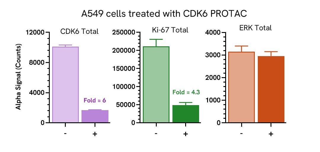 Pharmacological Validation (inhibitor) of Total Ki-67