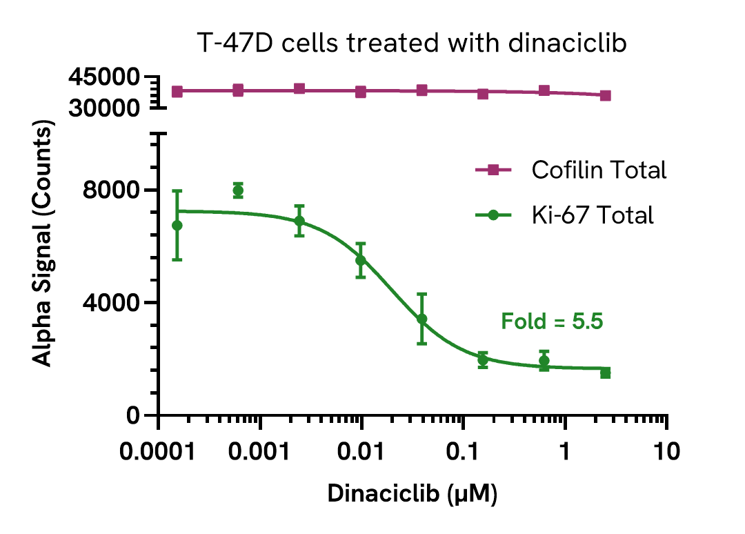 Pharmacological Validation (inhibitor) of Total Ki-67