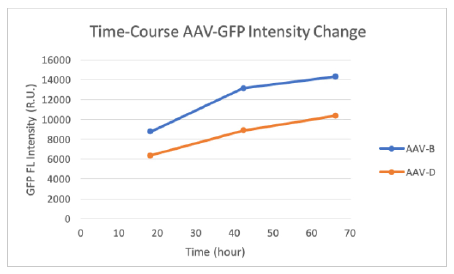 kinetic measurement of aav vector transduction efficiencies to optimize assay duration