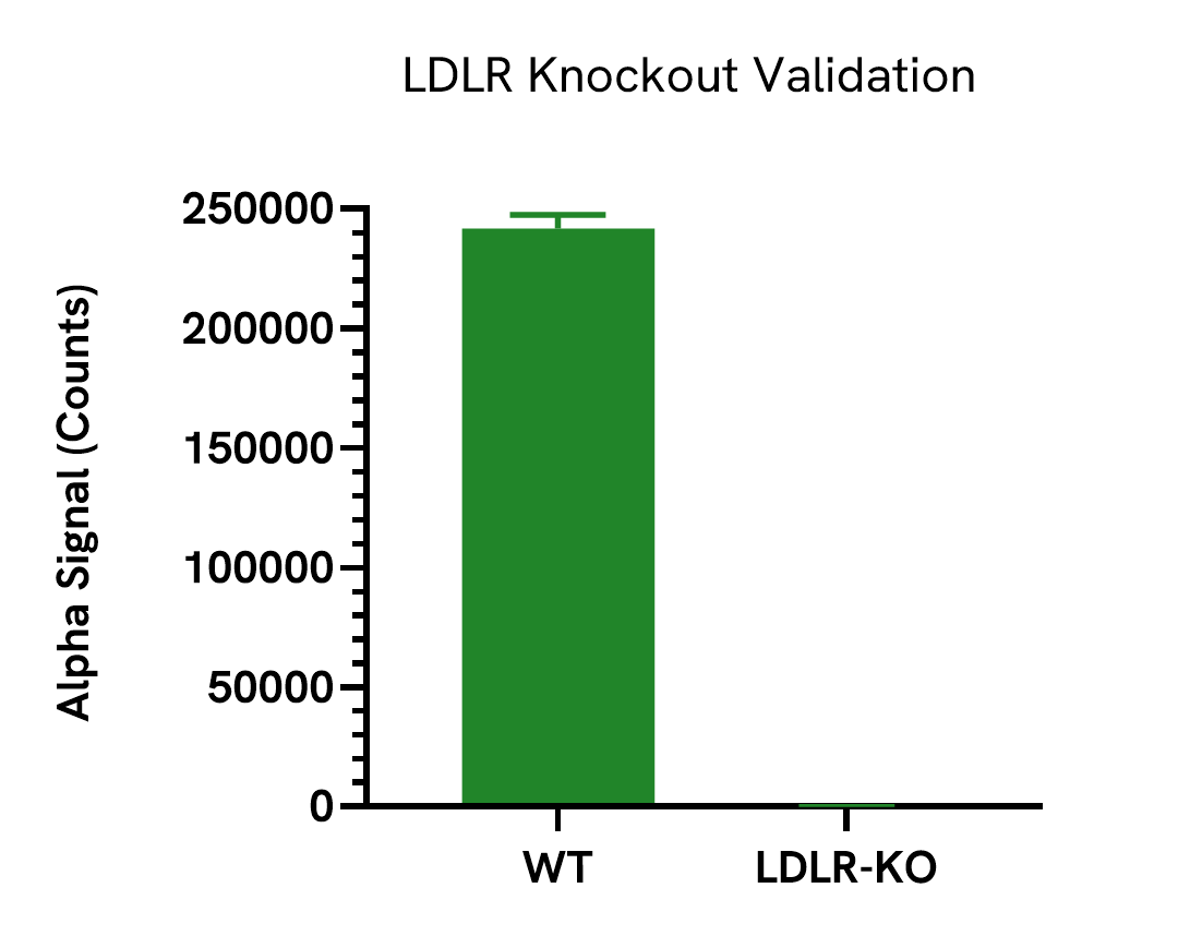 Assay specificity – knockout validation