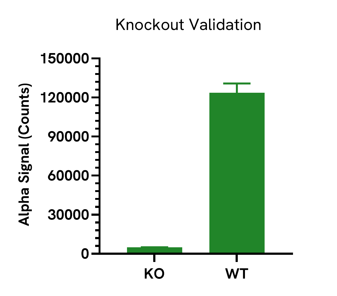 Specificity of SMAD3 Phospho (Ser423/425) High Specificity Assay