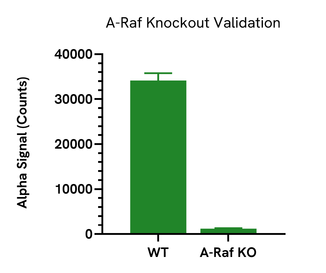 Assay specificity – Knockout validation