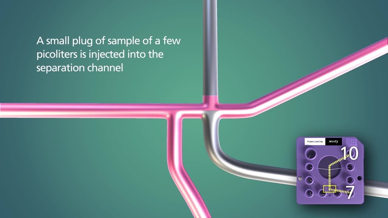 LabChip GXII Touch HT Protein Characterization System | Revvity