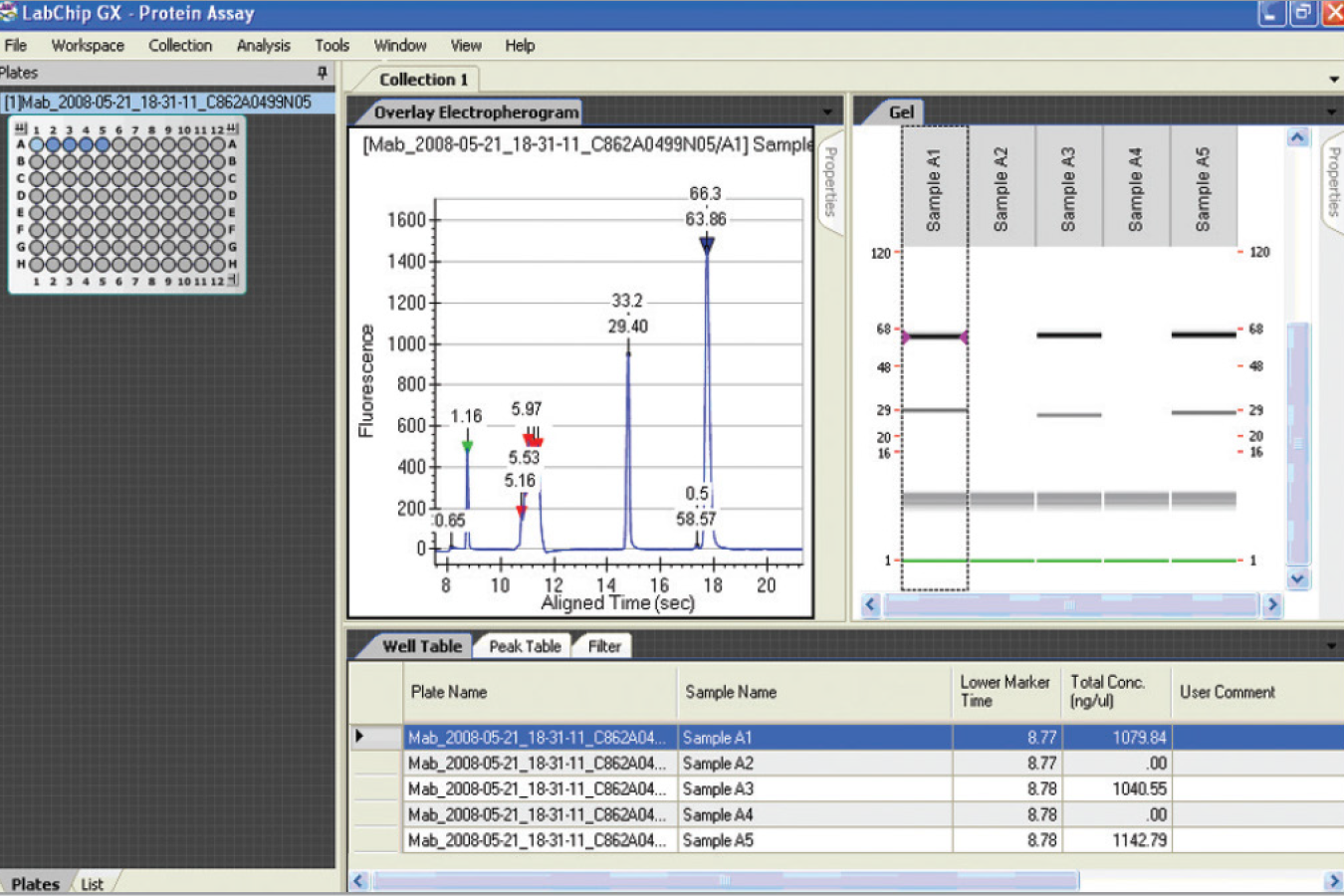 The LabChip GXII Touch protein characterization system interface offers real-time run data output and complete sample analysis.