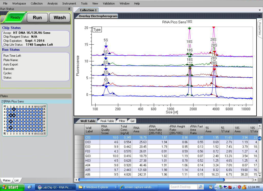 LabChip RNA Pico assay data