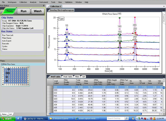 LabChip RNA Pico assay data