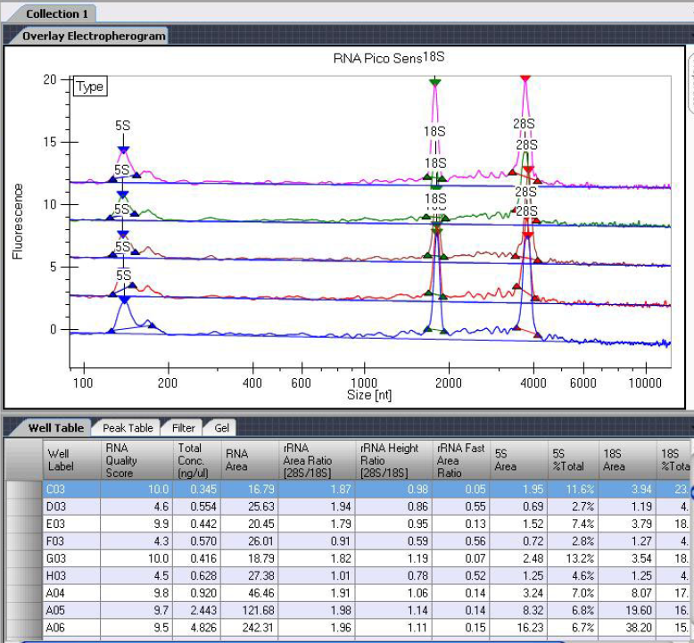 LabChip RNA Pico assay data