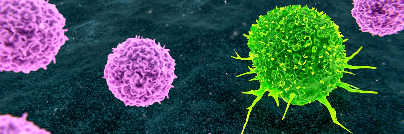 lentiboost dharmacon hero