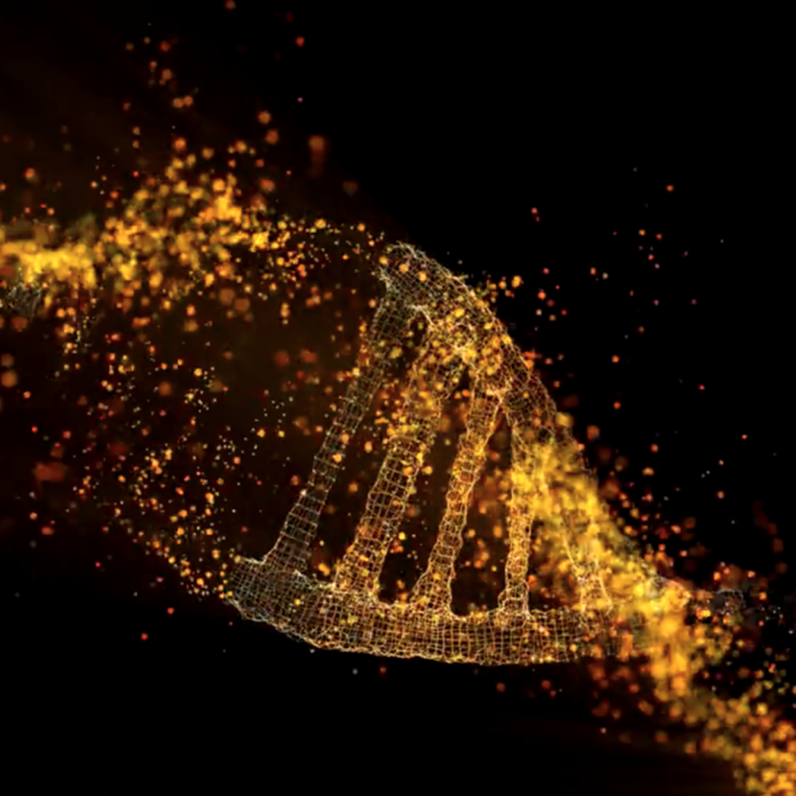 licensing options hero